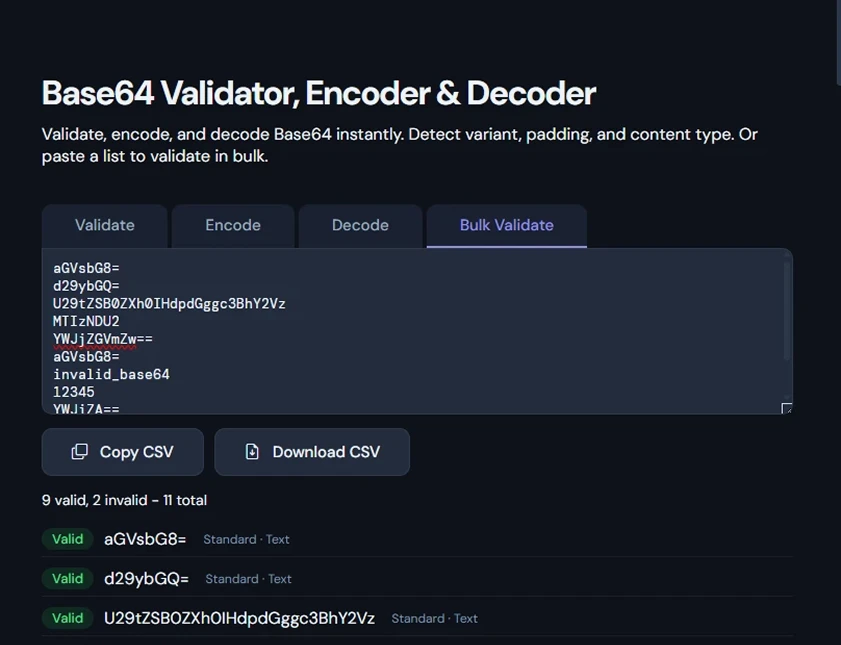 Base64 Decoder output