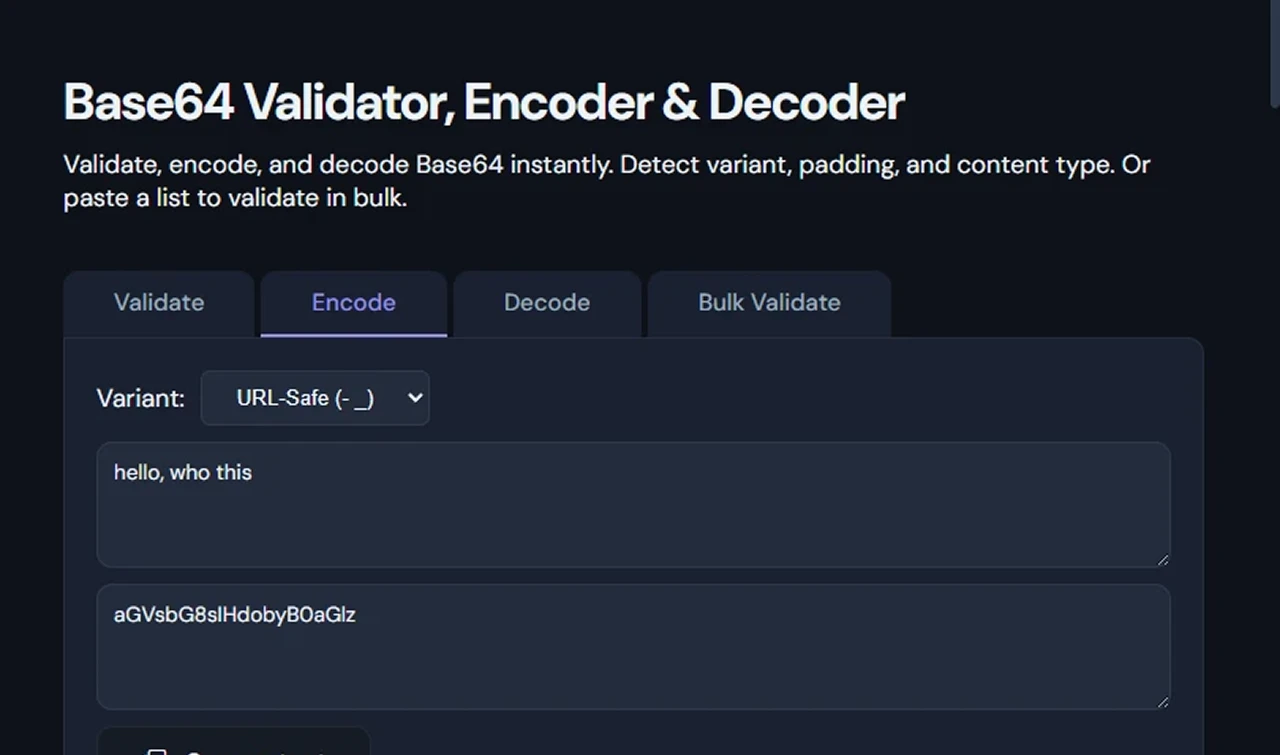 Base64 validation result