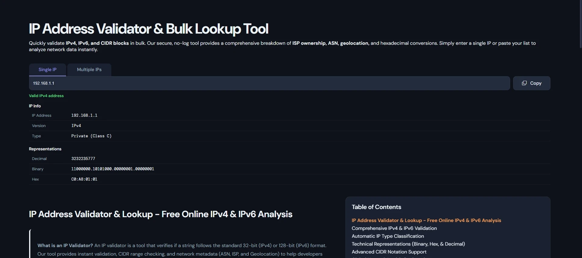 IP Address Validator tool in action