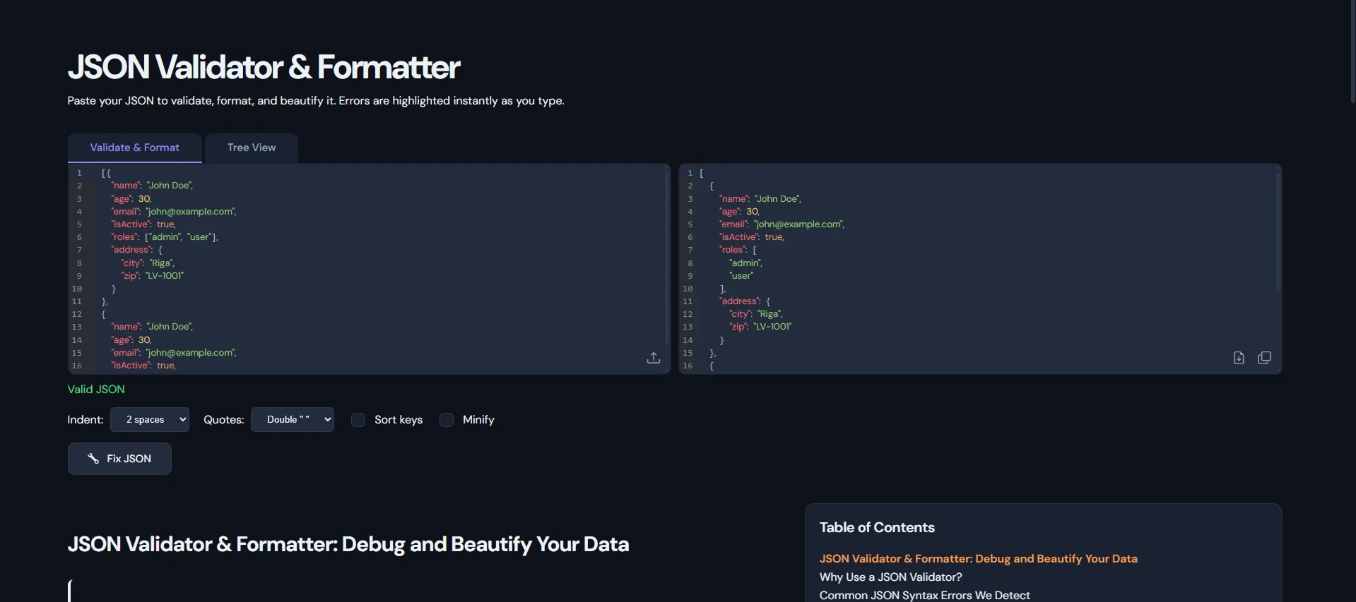 JSON Validator tool in action