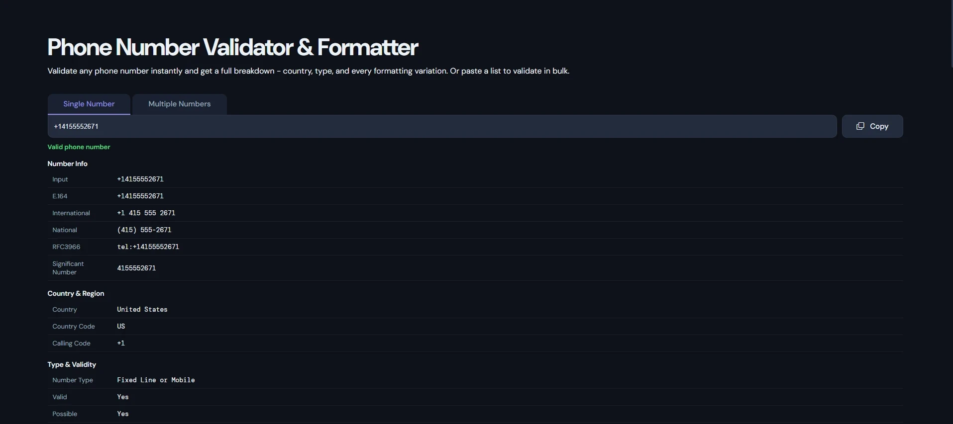 Phone Number Validator tool in action